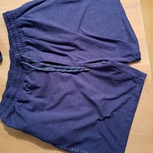 Puma Blue Men's Shorts